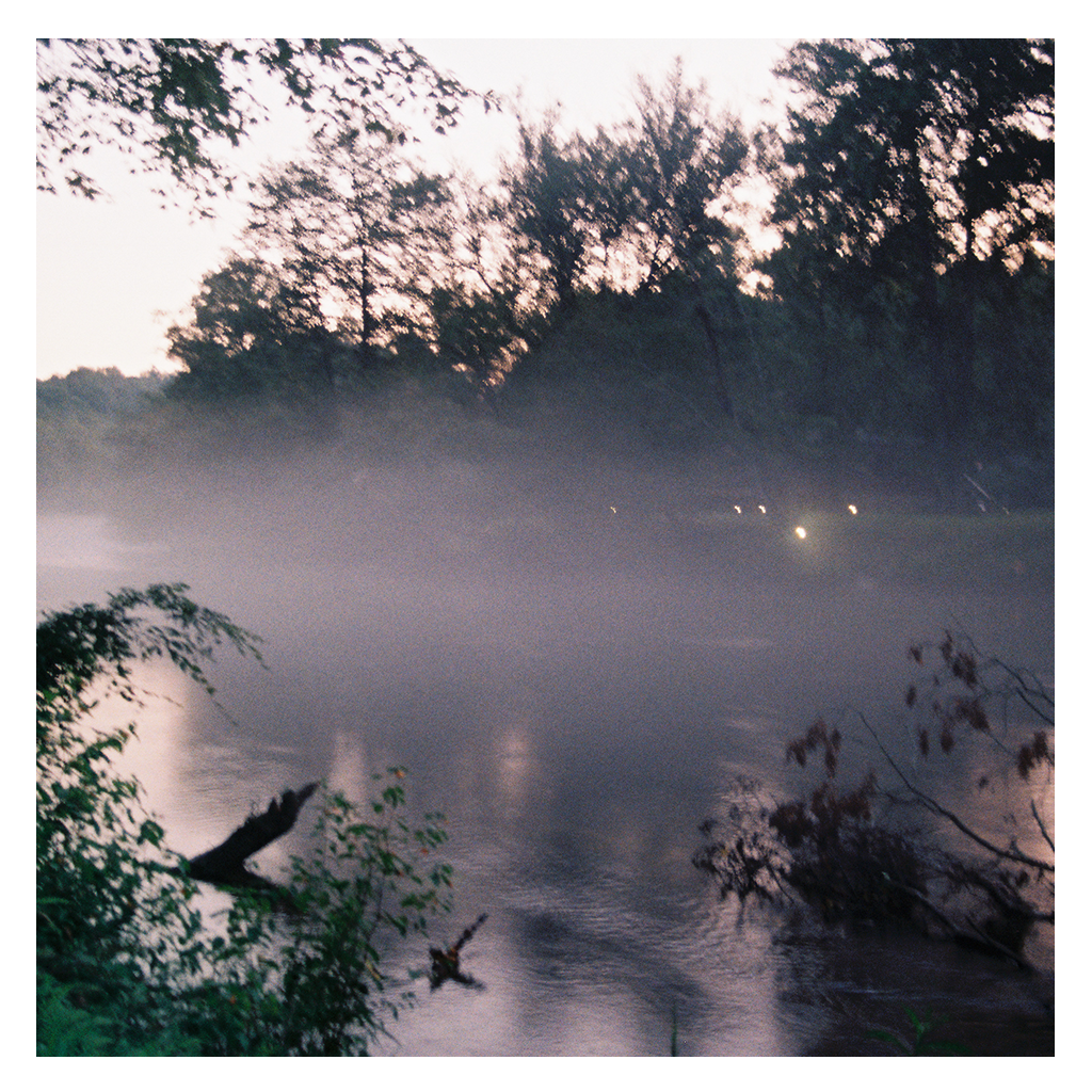 A First Step - Andrew Blooms