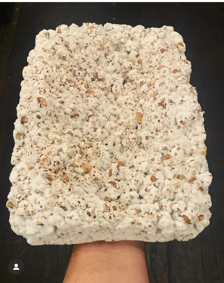 Koji Starter Kit — The Koji Shop