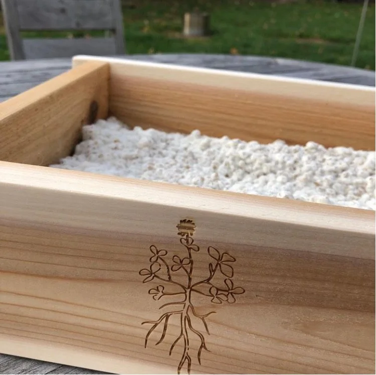Koji Starter Kit — The Koji Shop