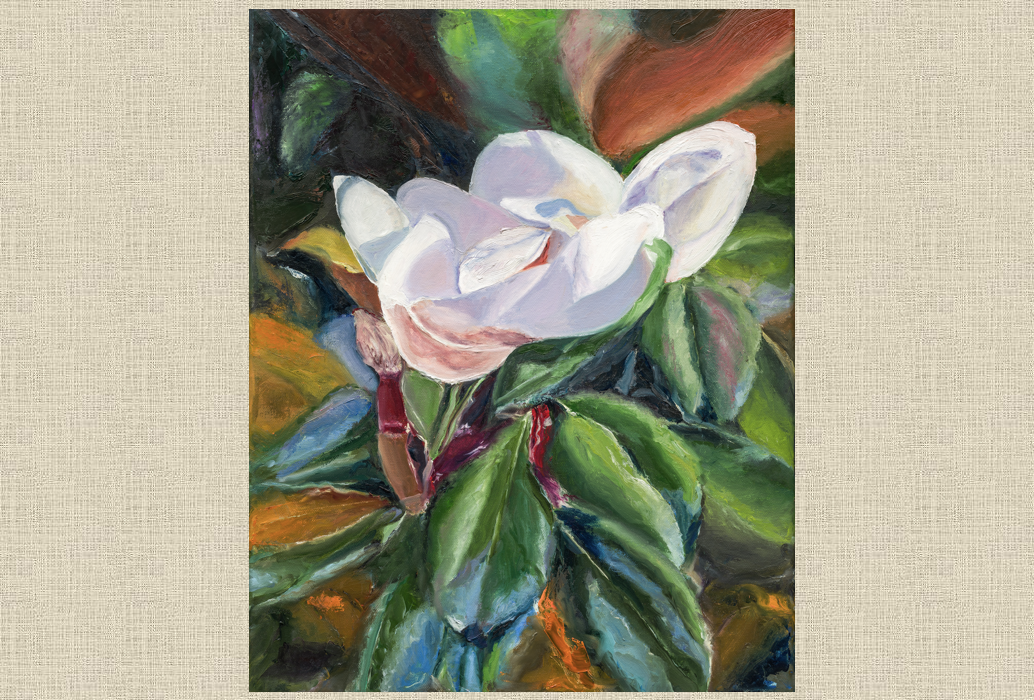 Sweet Magnolia