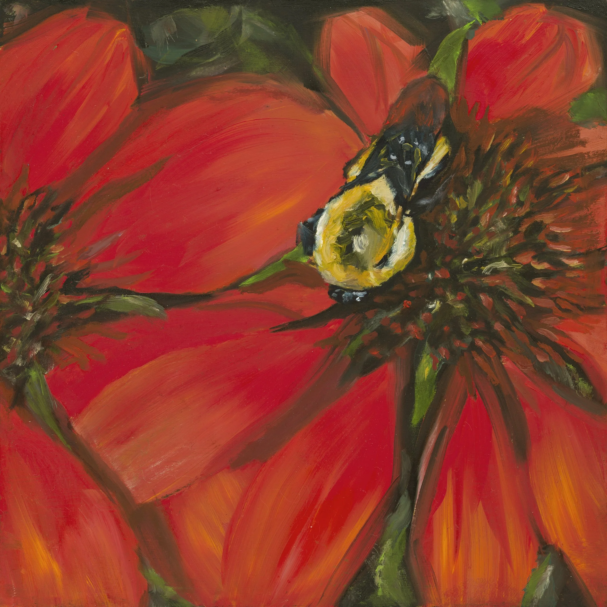 SLEEPY BEE_hi-res.jpg