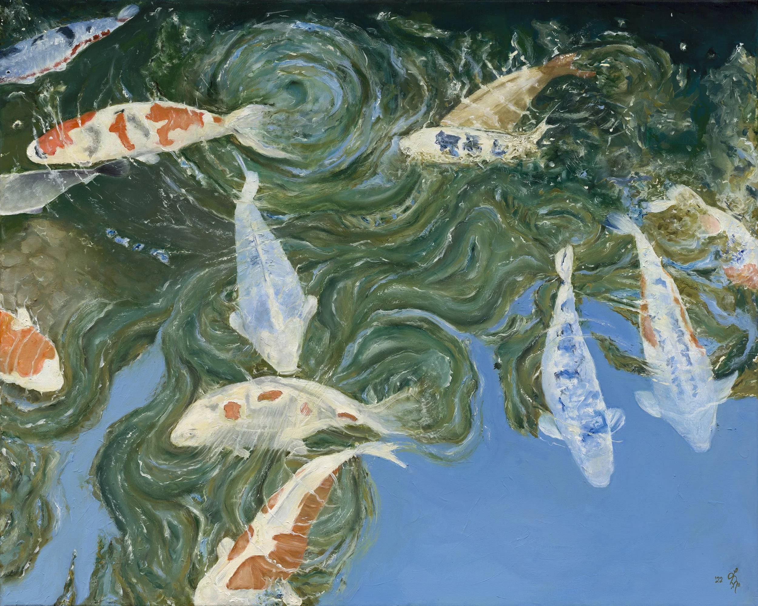 Feeling Koi