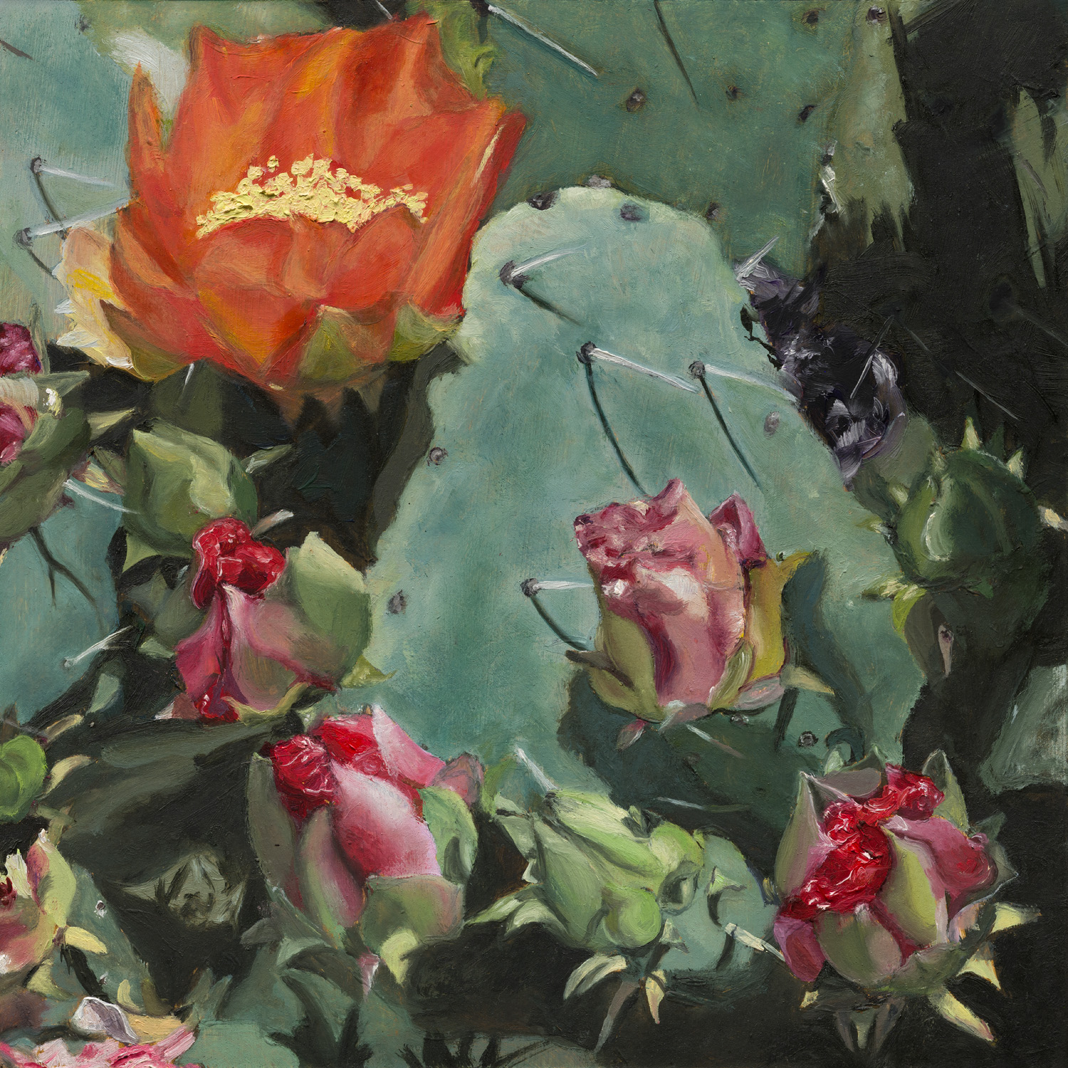 CACTUS FLOWER - 12 X 12 Print