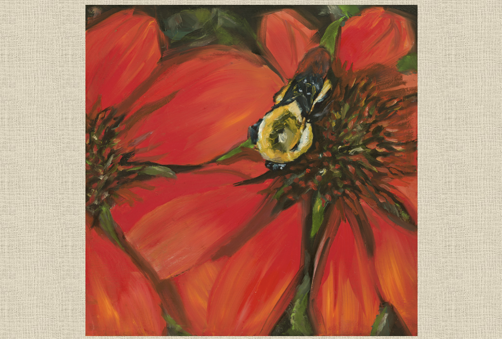 SLEEPY BEE