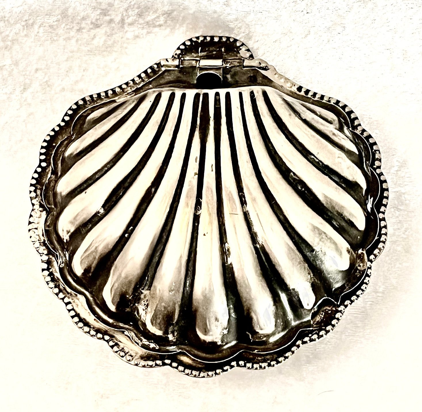 Silver Seashell 2.5"x 5"x 5" closed
