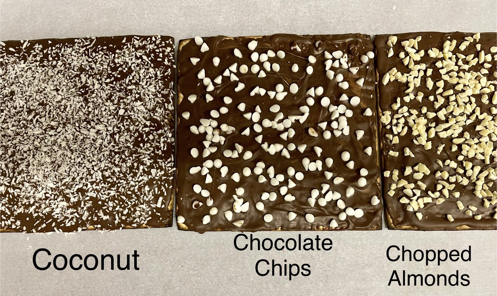 Chocolate Covered Shmurah Matzah