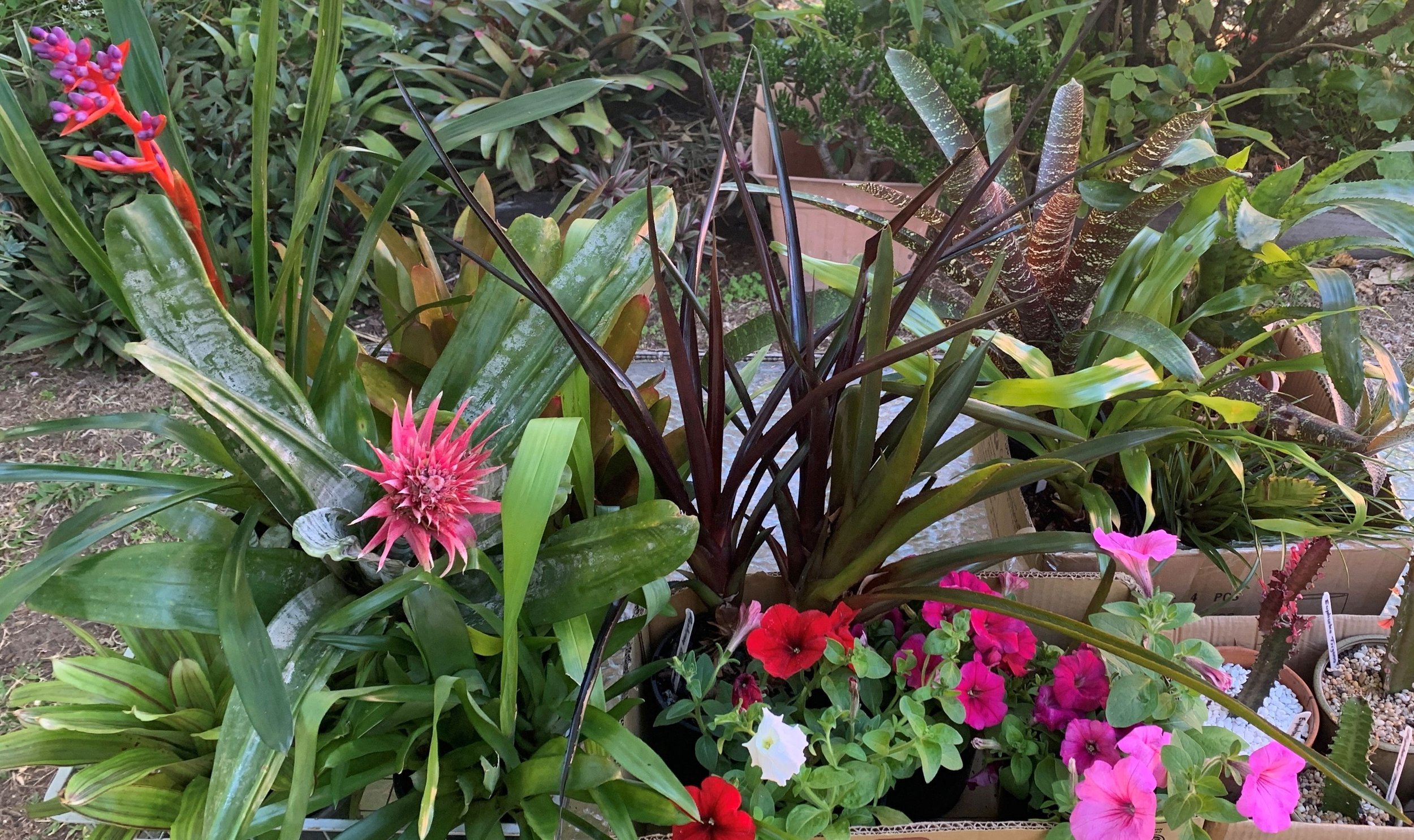 Garden Club