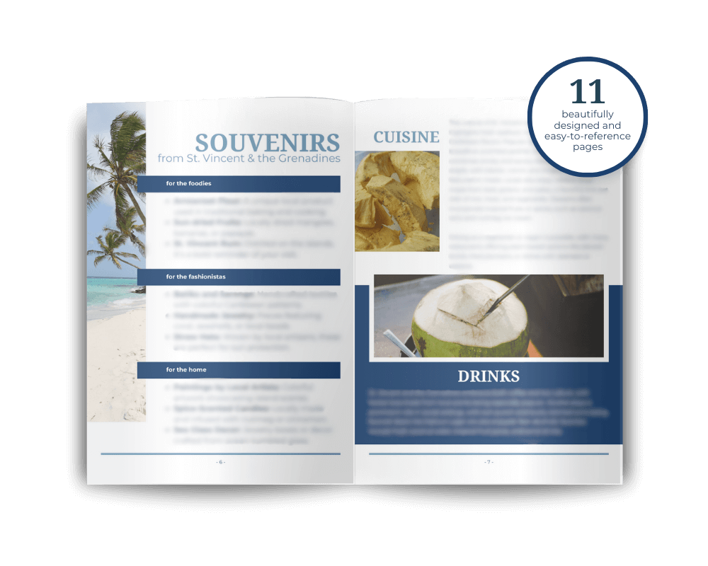 St._Vincent_&_the_Grenadines_Know_Before_You_Go_Design_Mockup.png