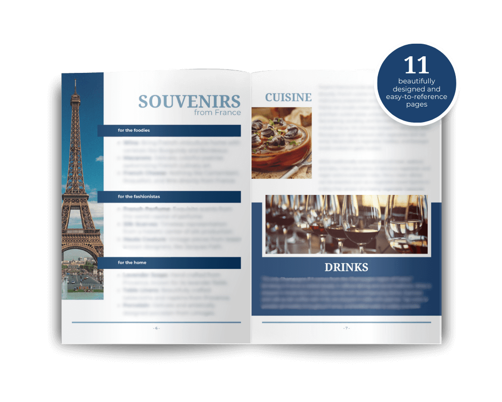 France_Know_Before_You_Go_Design_Mockup.png
