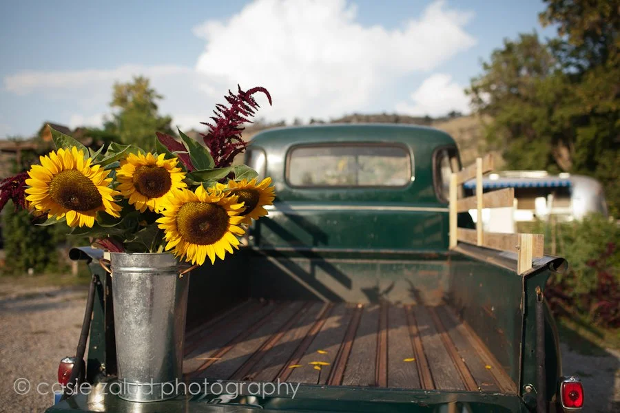 ©Casie Zalud Photographer-Eat at The Lyons Farmette-00028.jpg