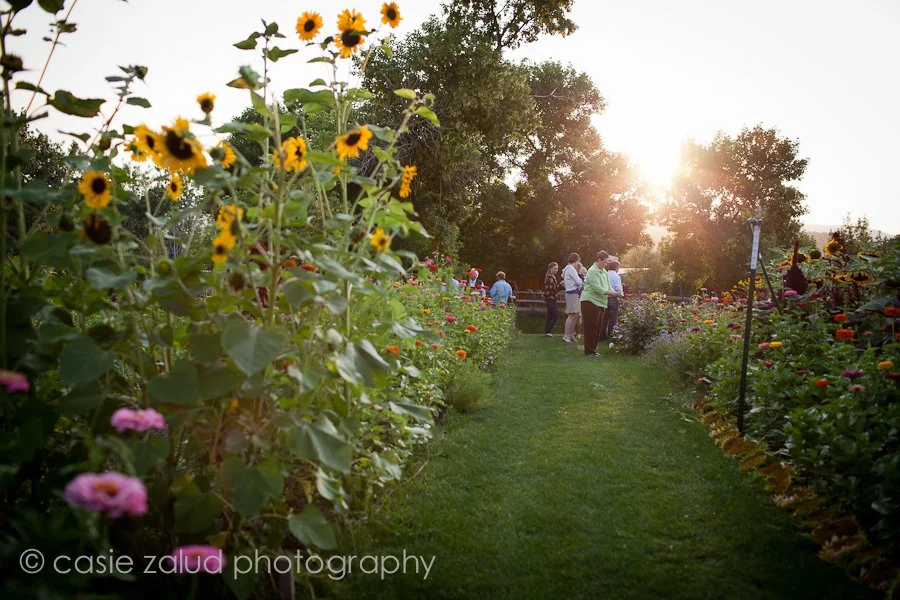 ©Casie Zalud Photographer-Eat at The Lyons Farmette-00065.jpg