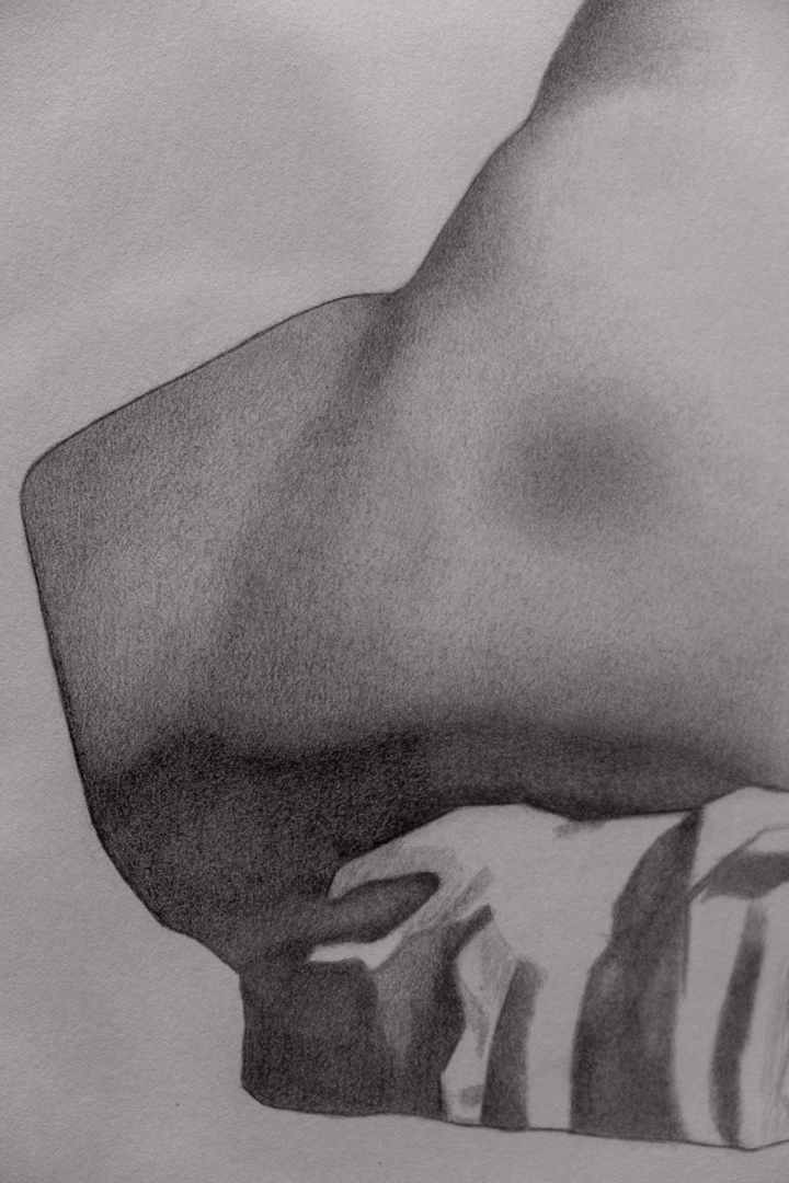 Venus-Drawing---18_24-inch---Graphite-4.png