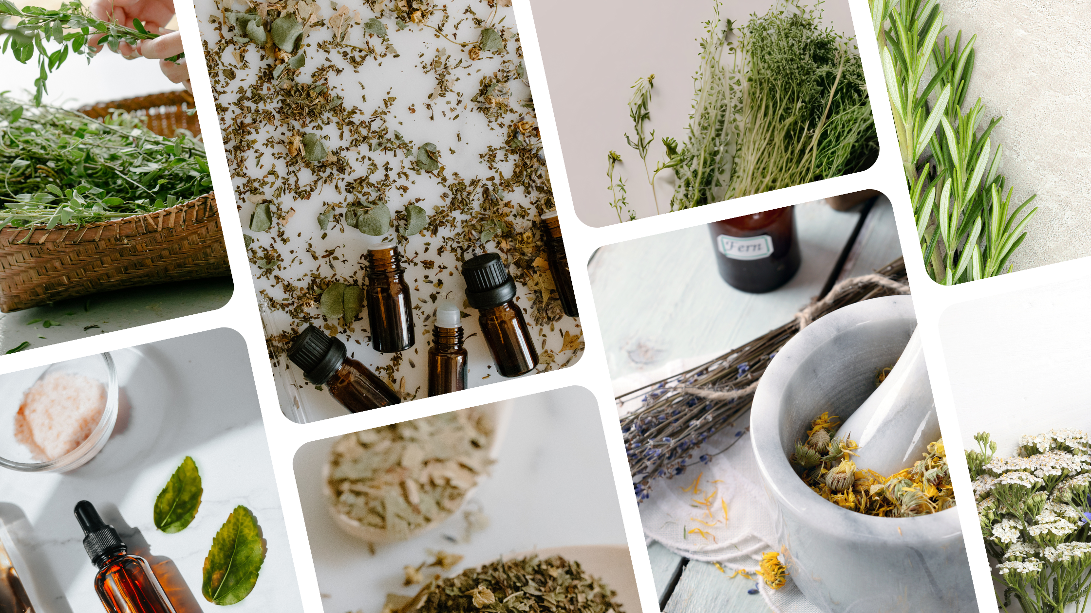 Homeopathy 101 — The WellSpring Restorative Collective