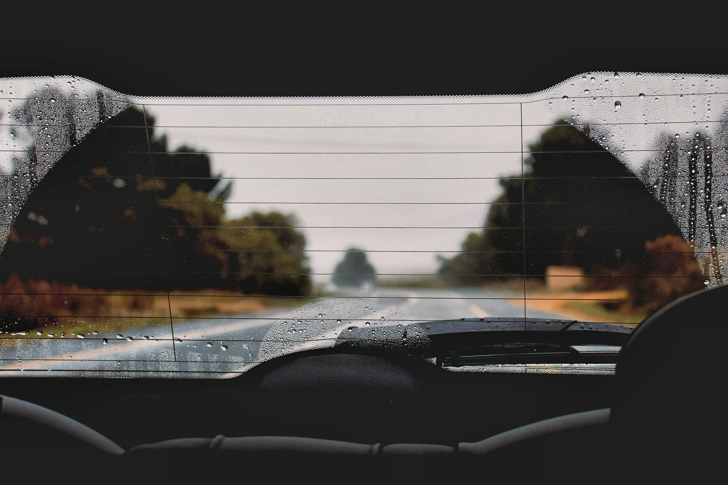 View through the rear window of a car showing a rainy overcast road lined with trees on both sides.