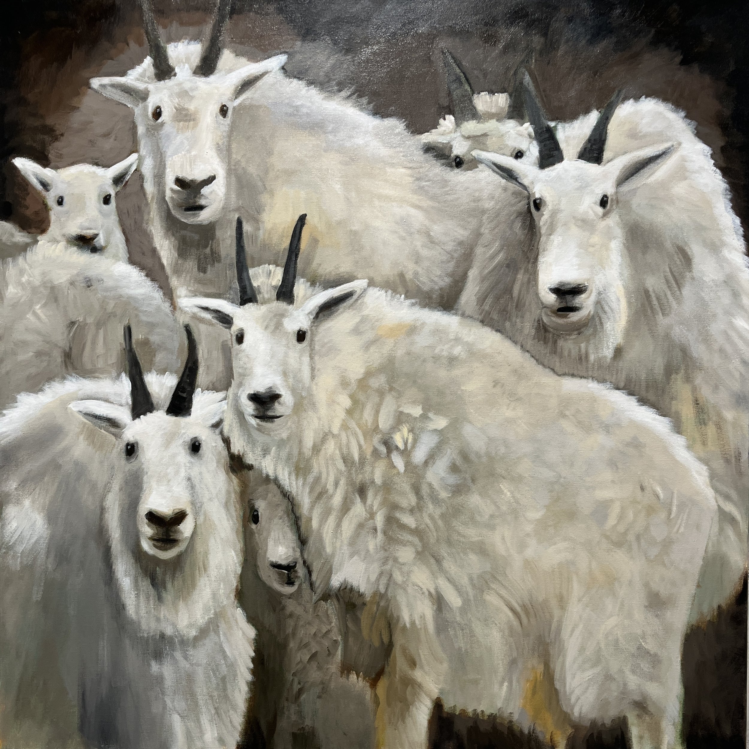 Seven Soft Reasons to Smile 30x30 SOLD