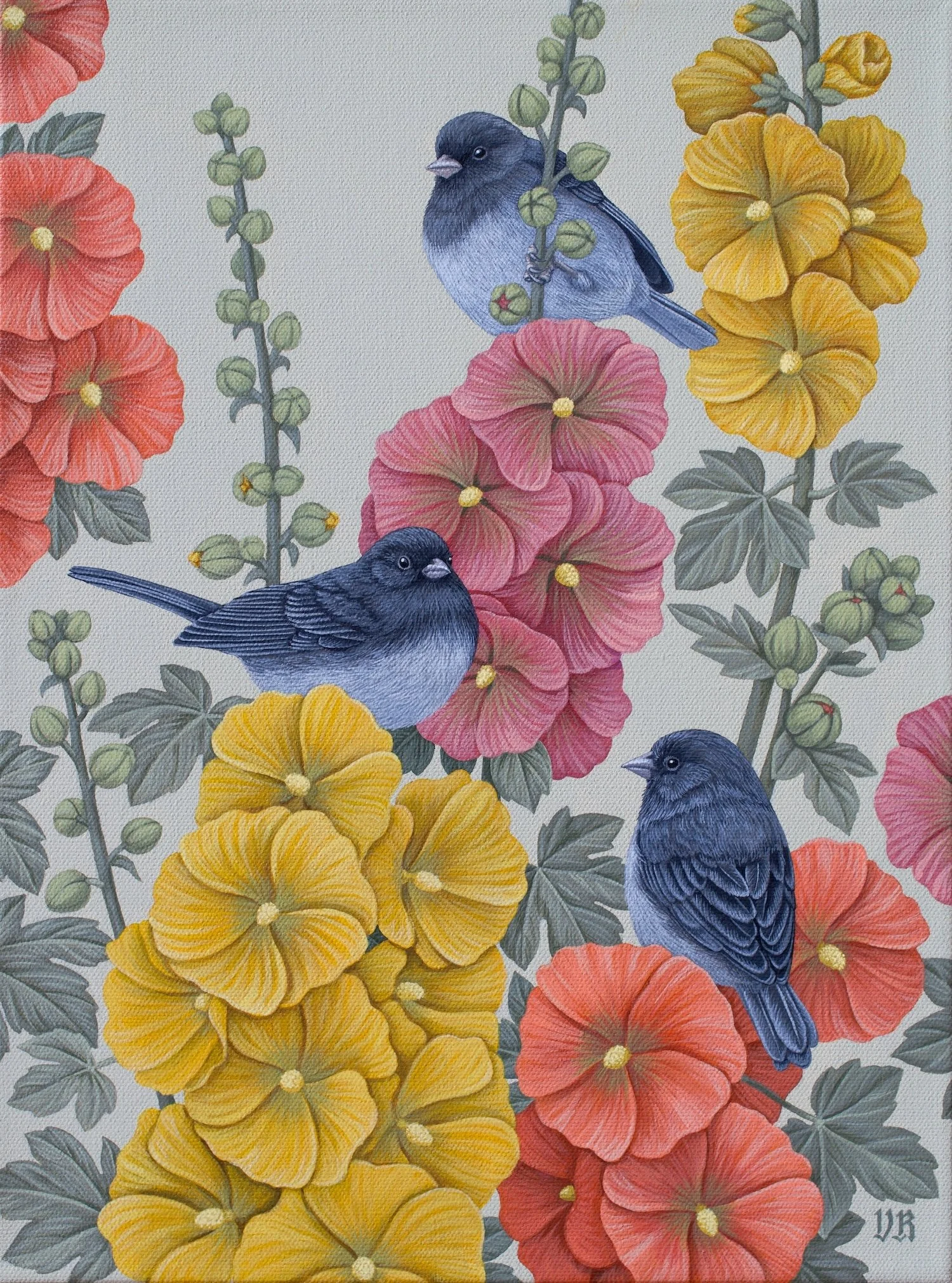 Romanenko_DarkEyedJuncos and Hollyhocks.jpg