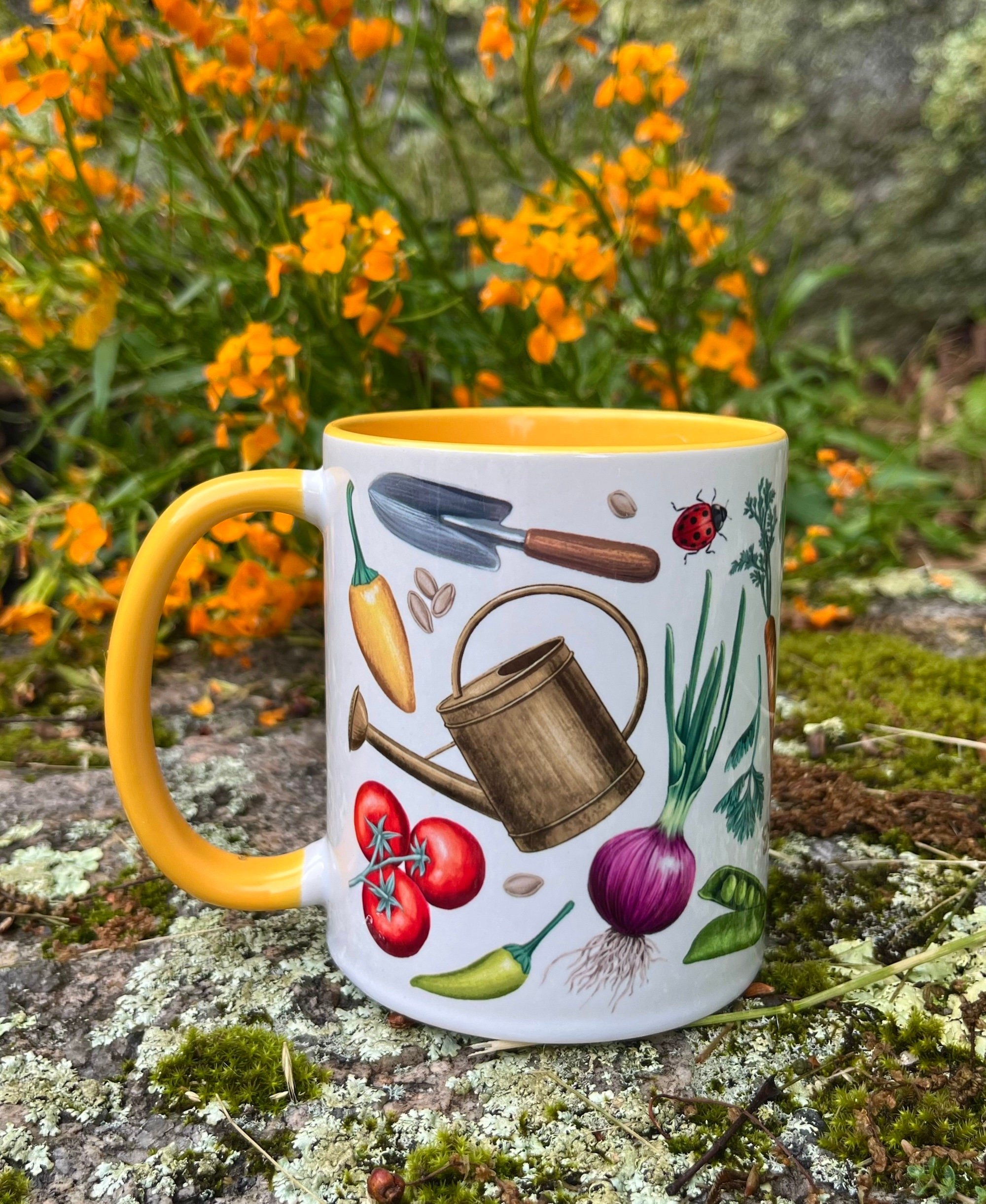 https://i.etsystatic.com/14056193/r/il/95c8d0/6215295565/il_fullxfull.6215295565_1tyq.jpg