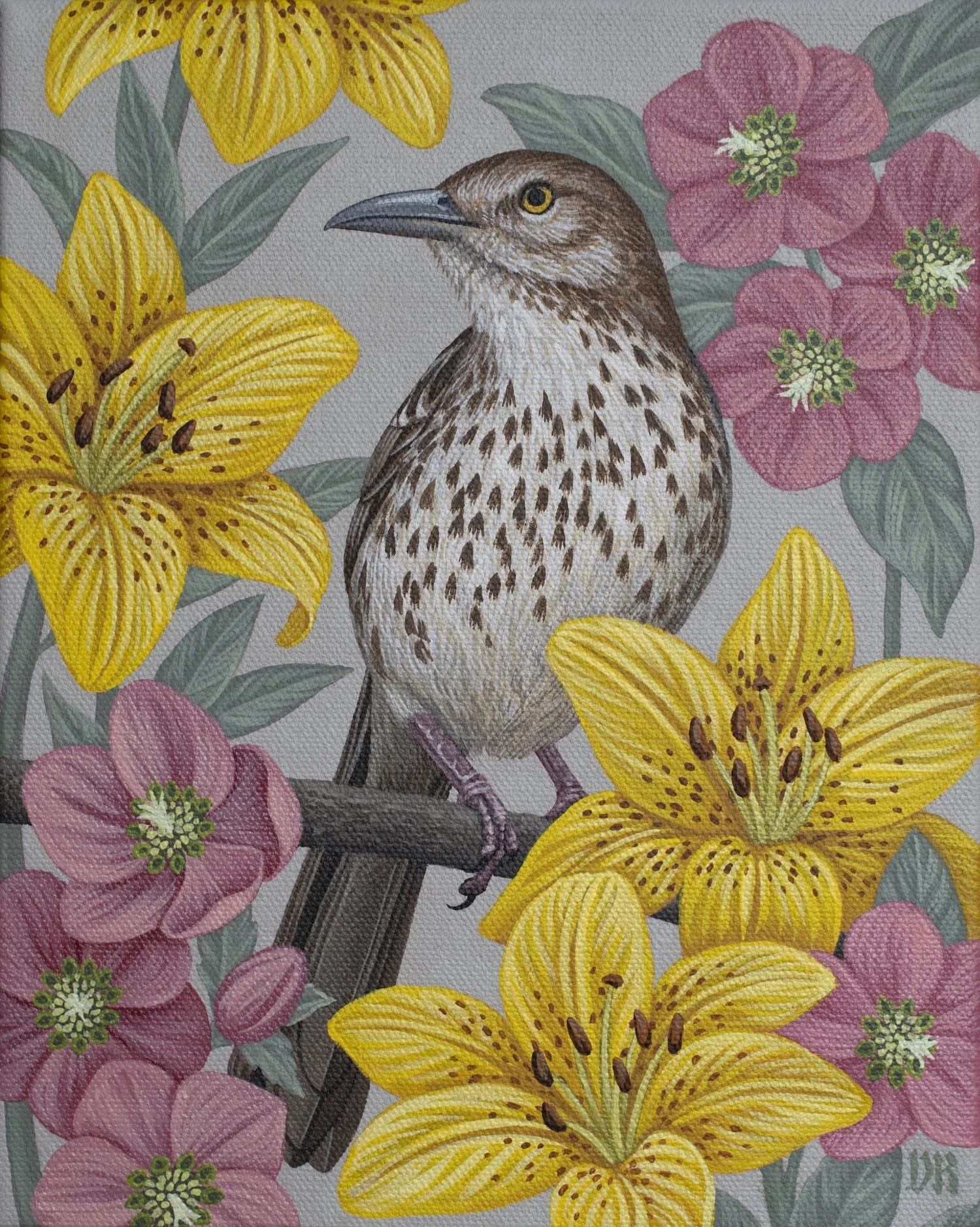 Thrush.jpg