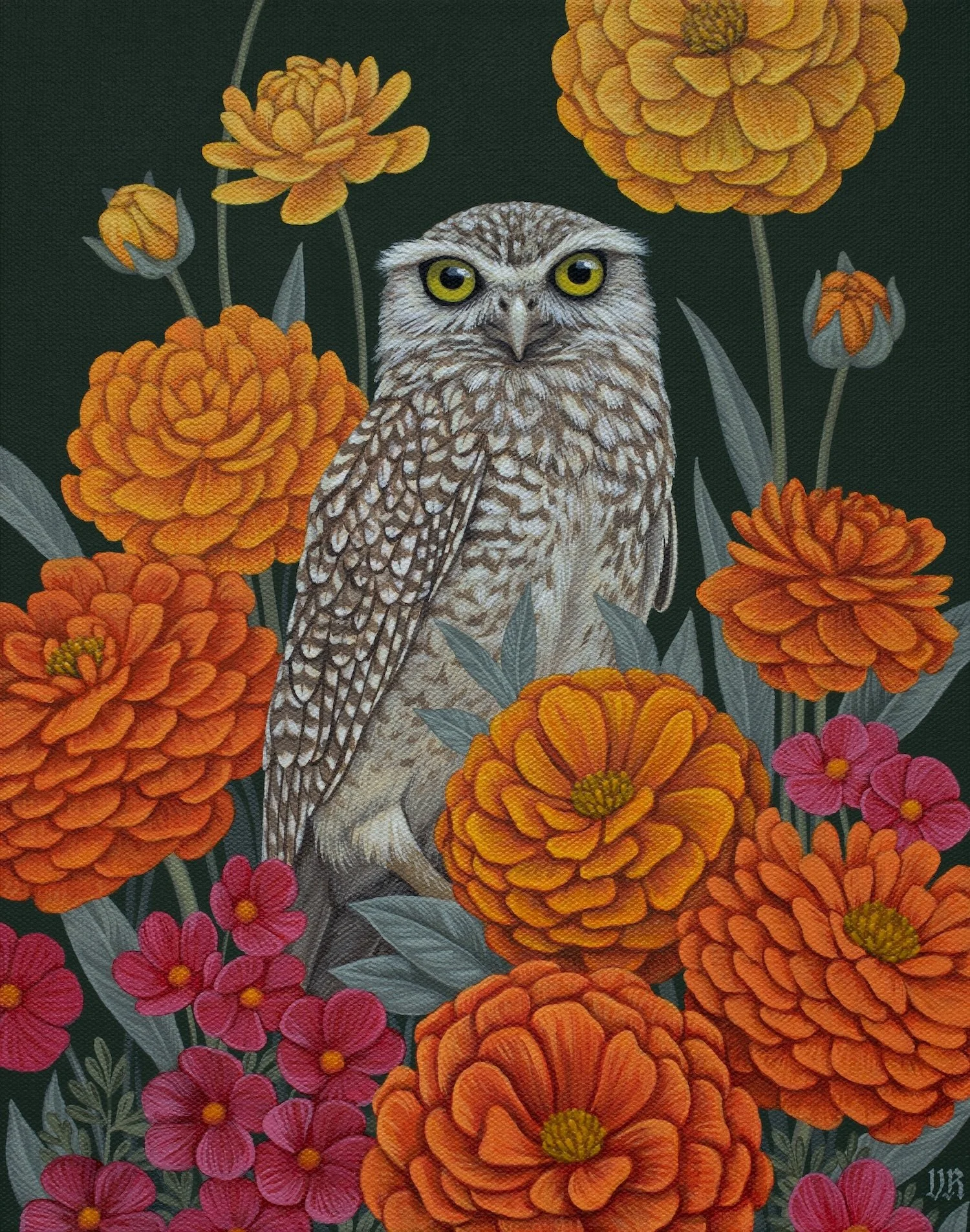 Owl_Marigolds.jpg