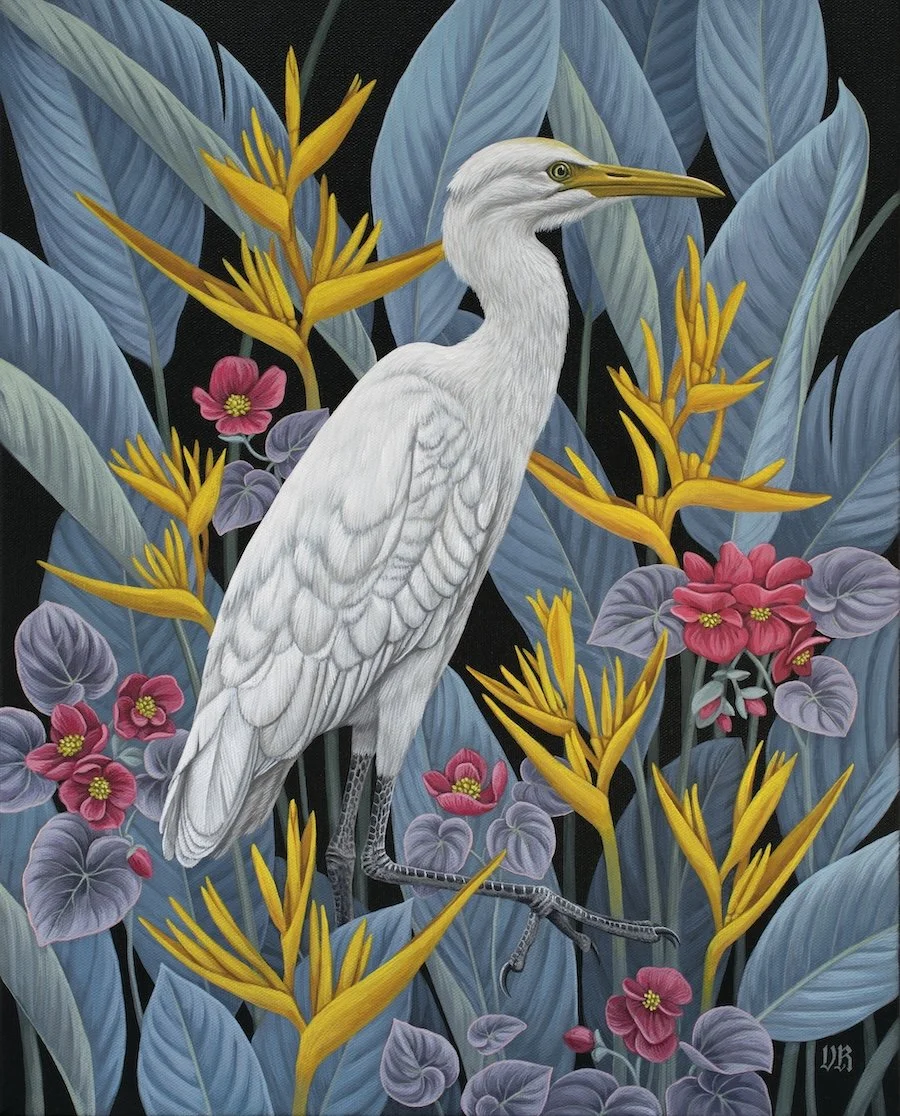 Cattle_Egret.jpg