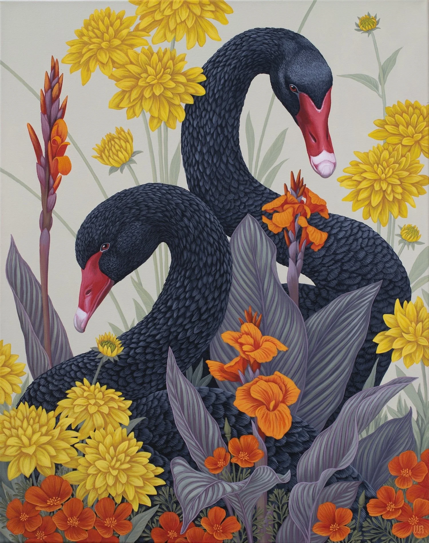 Black_swans.jpg