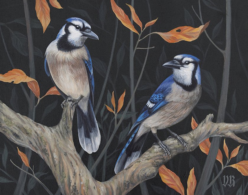 "Blue Jays" Print