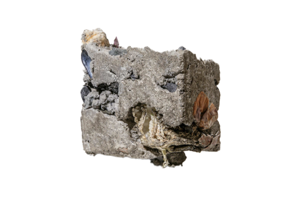 Screenshot 2026-06-17 at 9.52.24 AM.png