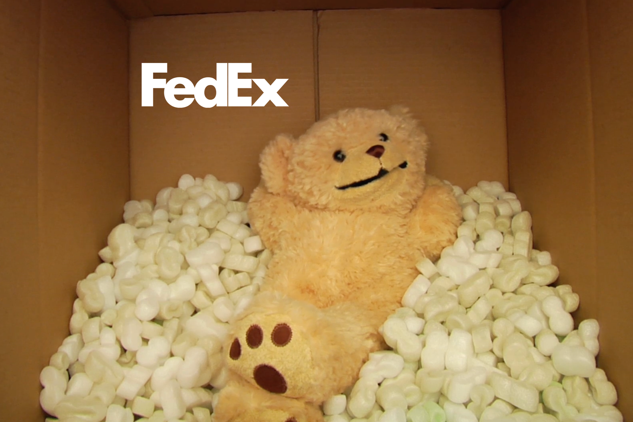 FedEx+-+Teddy+-+Thumbnail.png