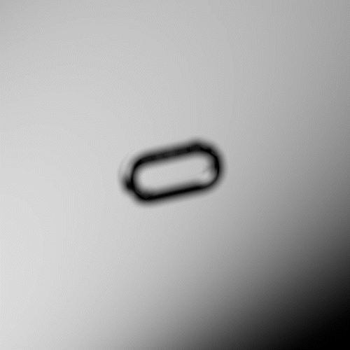 LV GIF 1.gif