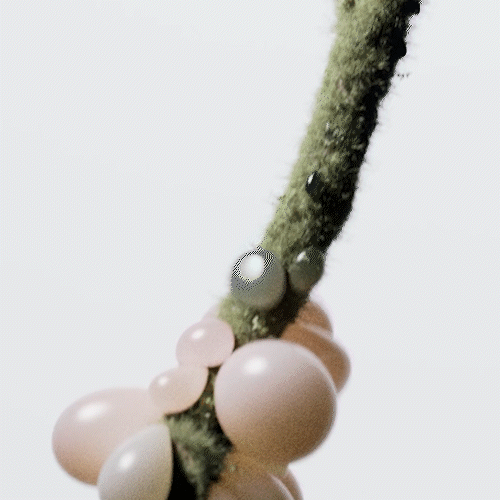 Flower GIF 2.gif