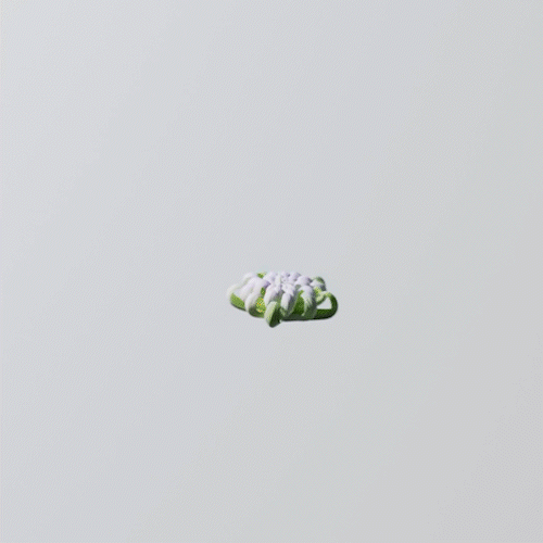 Flower GIF 1.gif
