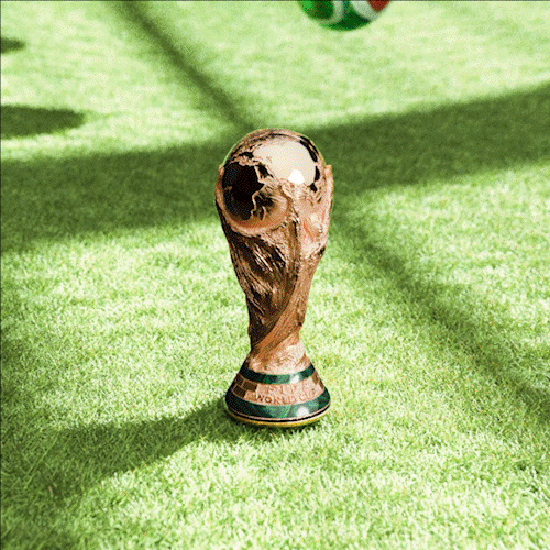 World Cup GIF 2.gif