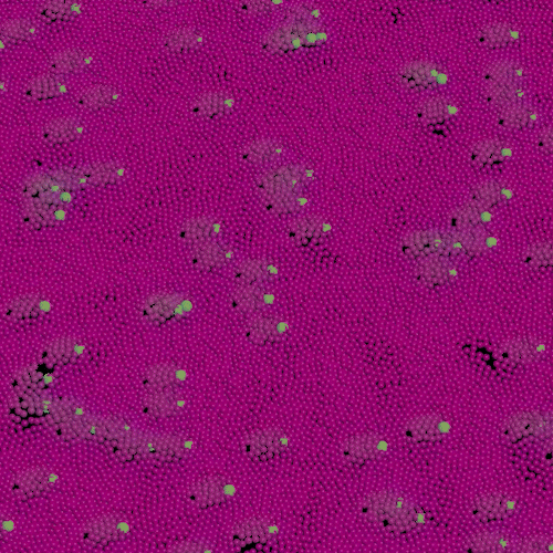 PRADAxCHROME_Moss 01_1--.gif