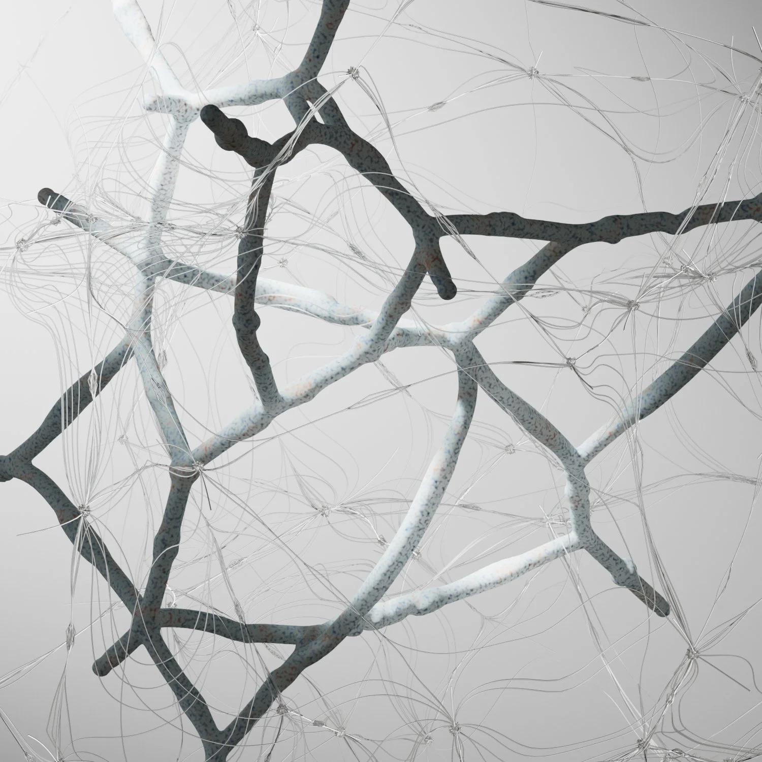 MicroPlastics_01_1+-+07_20_19_24_09.jpg