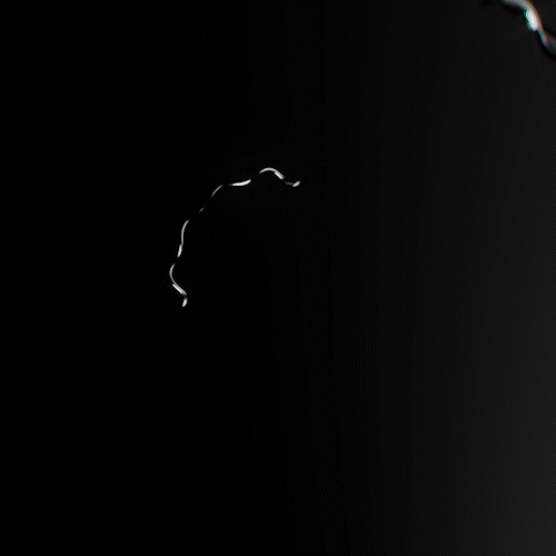 BR GIF 1.gif