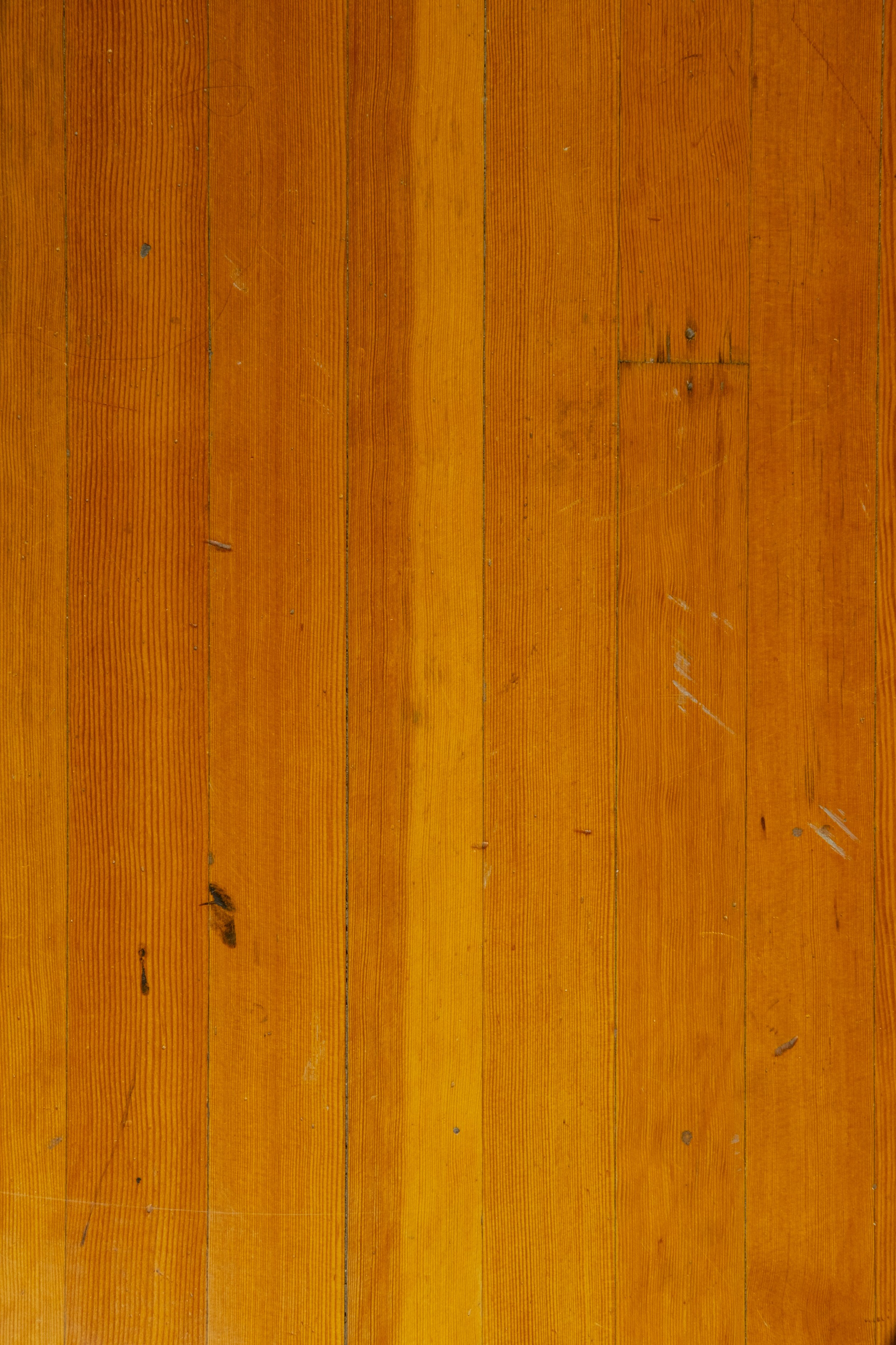 20240918-Typology Cont.009-2.jpg