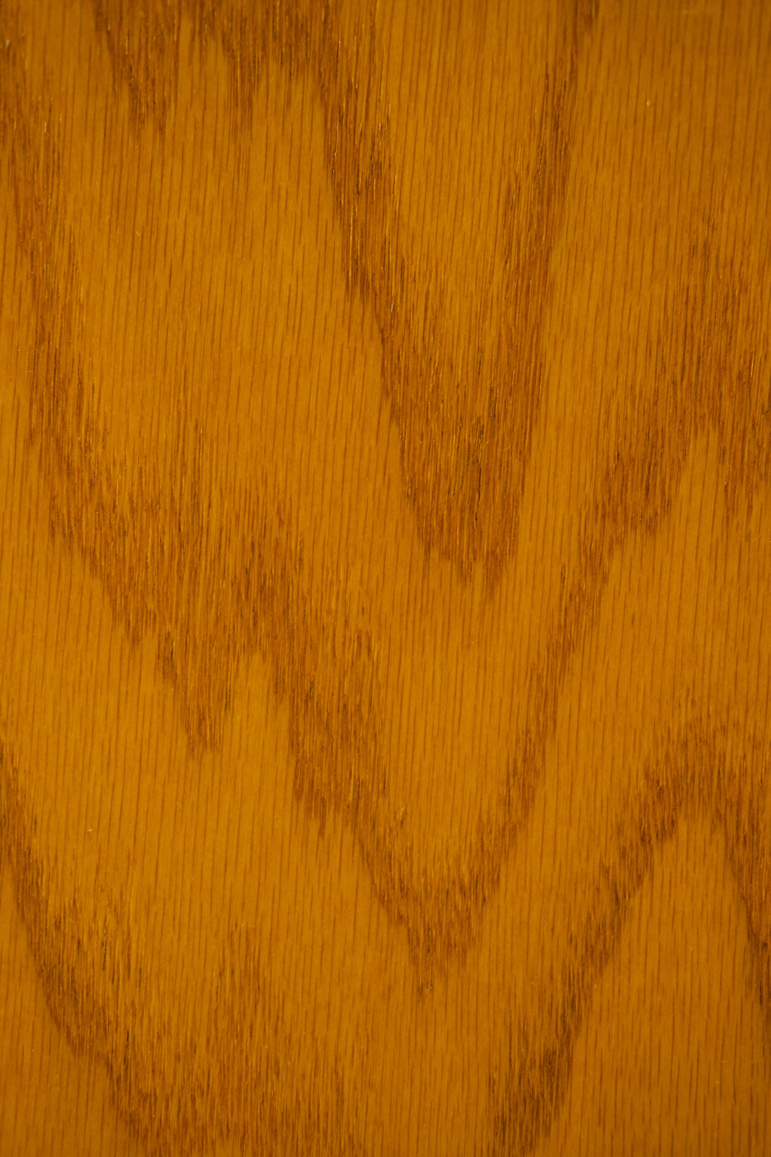 20240922-Typology Cont.010.jpg