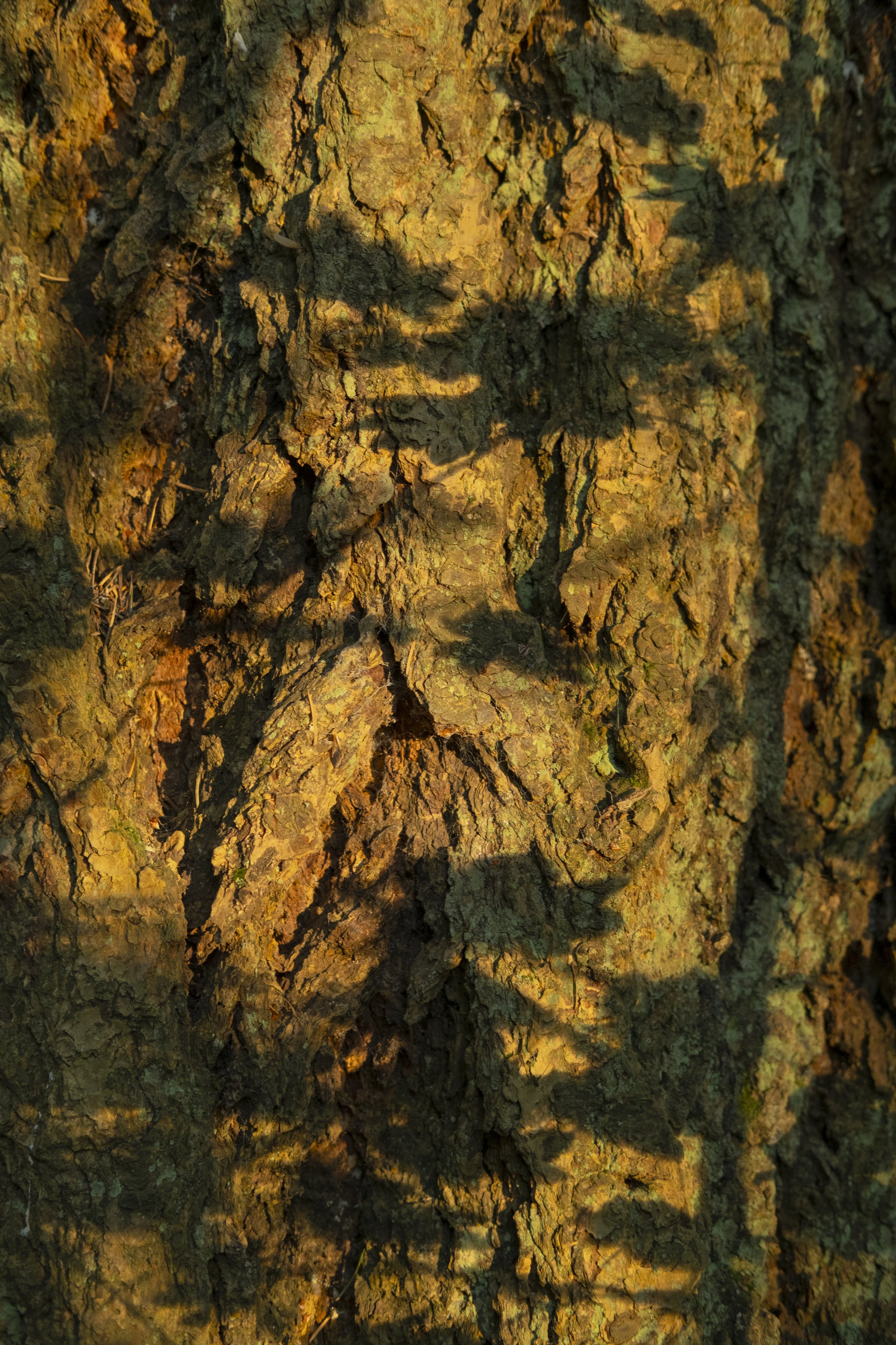 20240916-Typology Cont.008-48.jpg