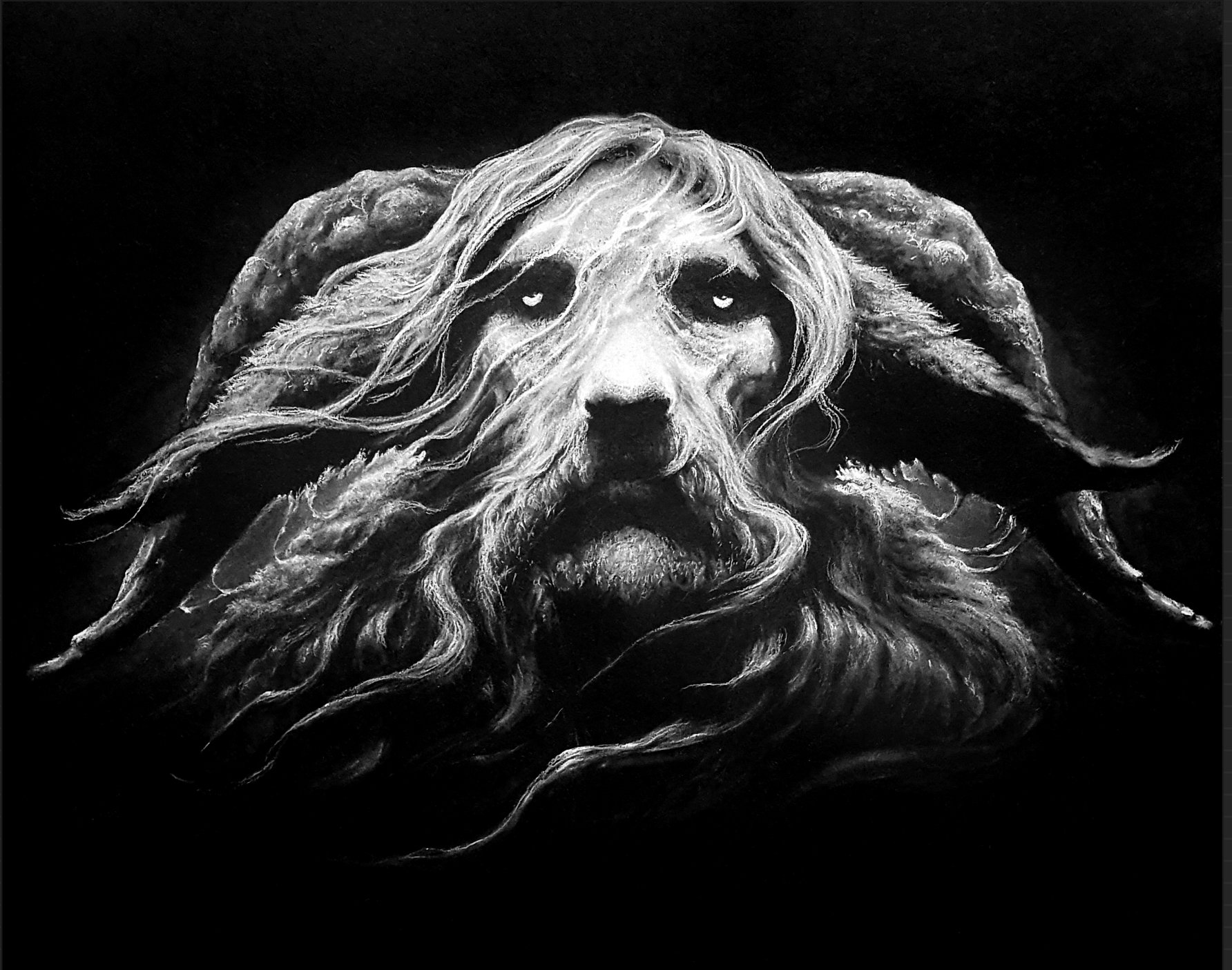 Limited Edition WISE OLD GOAT Print