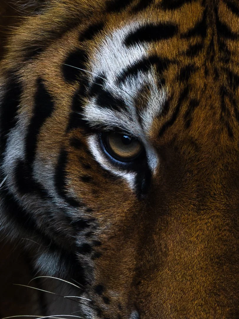 zoo-6.jpg