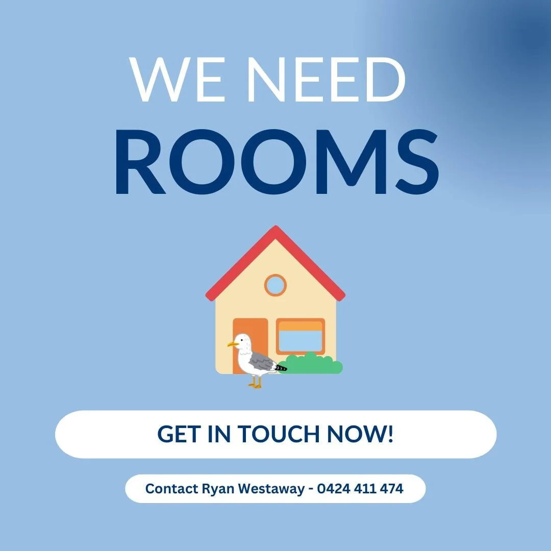 🏡WE NEED ROOMS🏡
Do you have a rental home, or a spare room available to rent? We need your help!
With the oncoming season, we are having lots of players needing somewhere to stay!
Get in touch with Ryan Westaway - 0424 411 474, if you or you know s