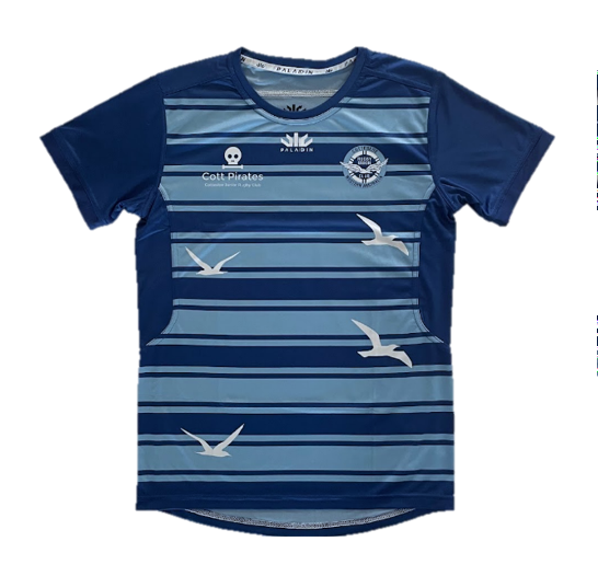 Striped Training Shirt.png