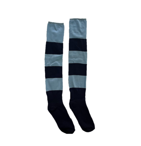 Game Socks.png
