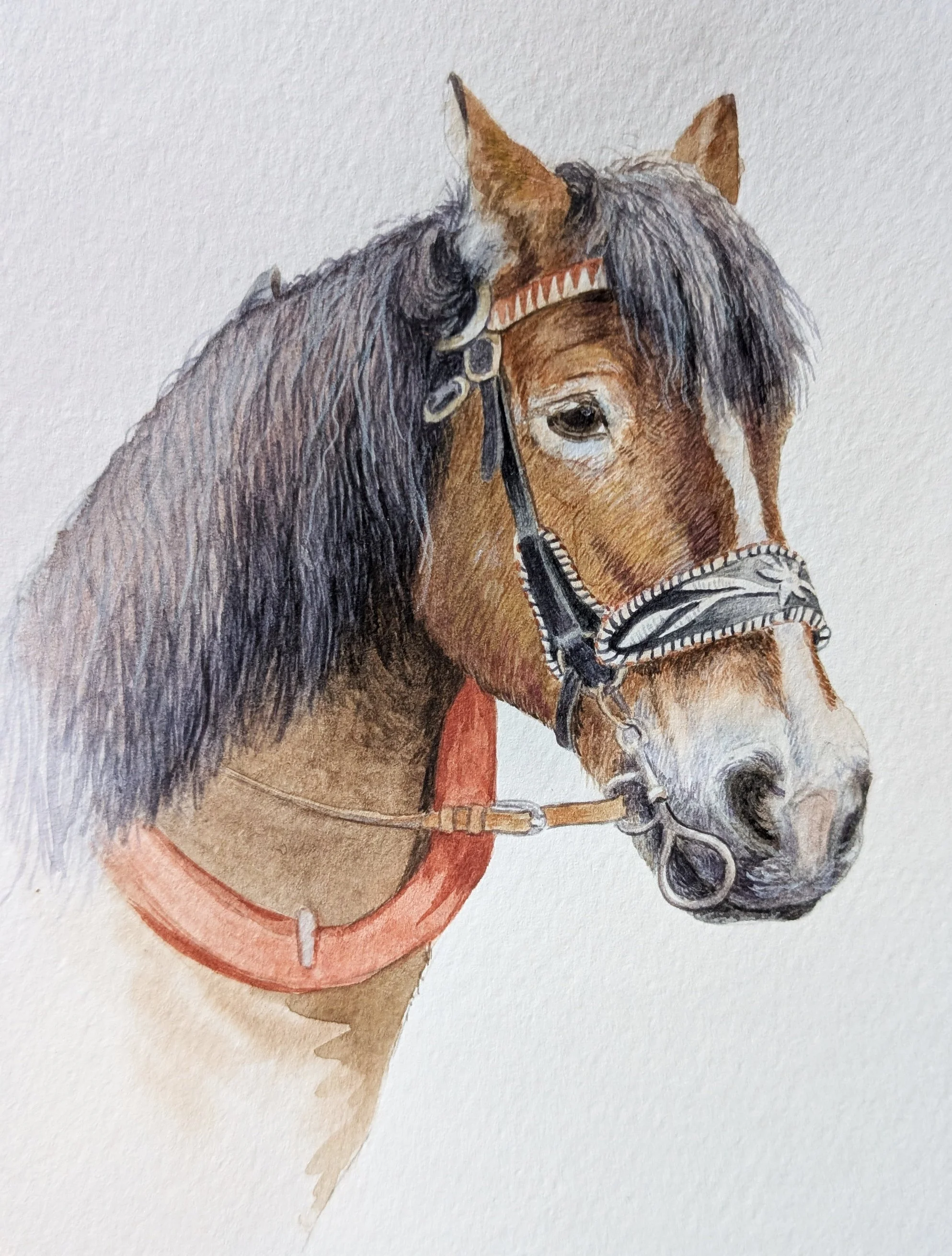 Naturgetreues, realistisches Aquarell eines braun-weißen Pferdes mit schwarzer Mähne. Handgemaltes Tierporträt