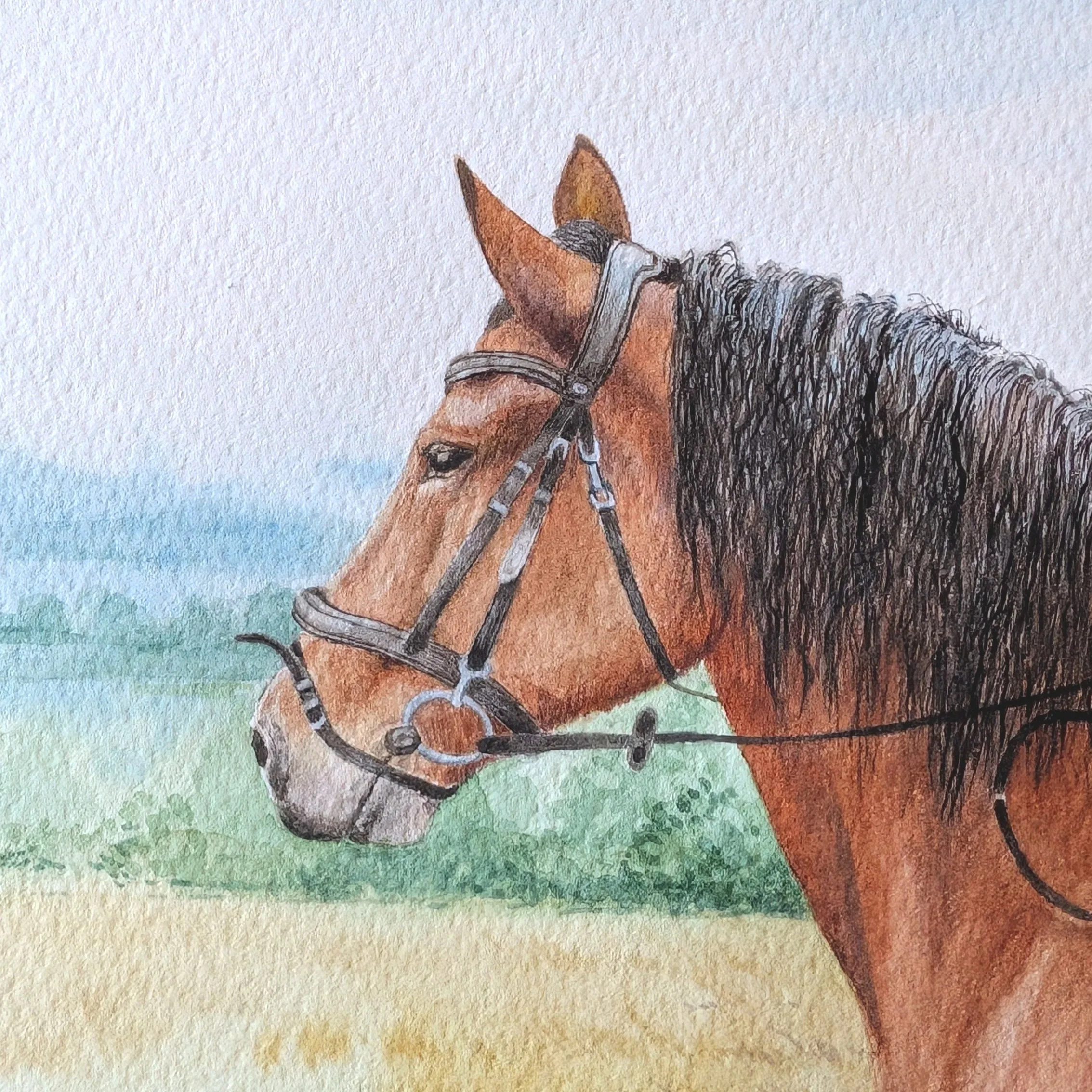 Ein Pferdeporträt in Aquarell, das ein braunes Pferd mit schwarzer Mähne zeigt. Im Hintergrund ist eine Landschaft erkennbar. Die Struktur des Aquarellpapieres ist sichtbar.