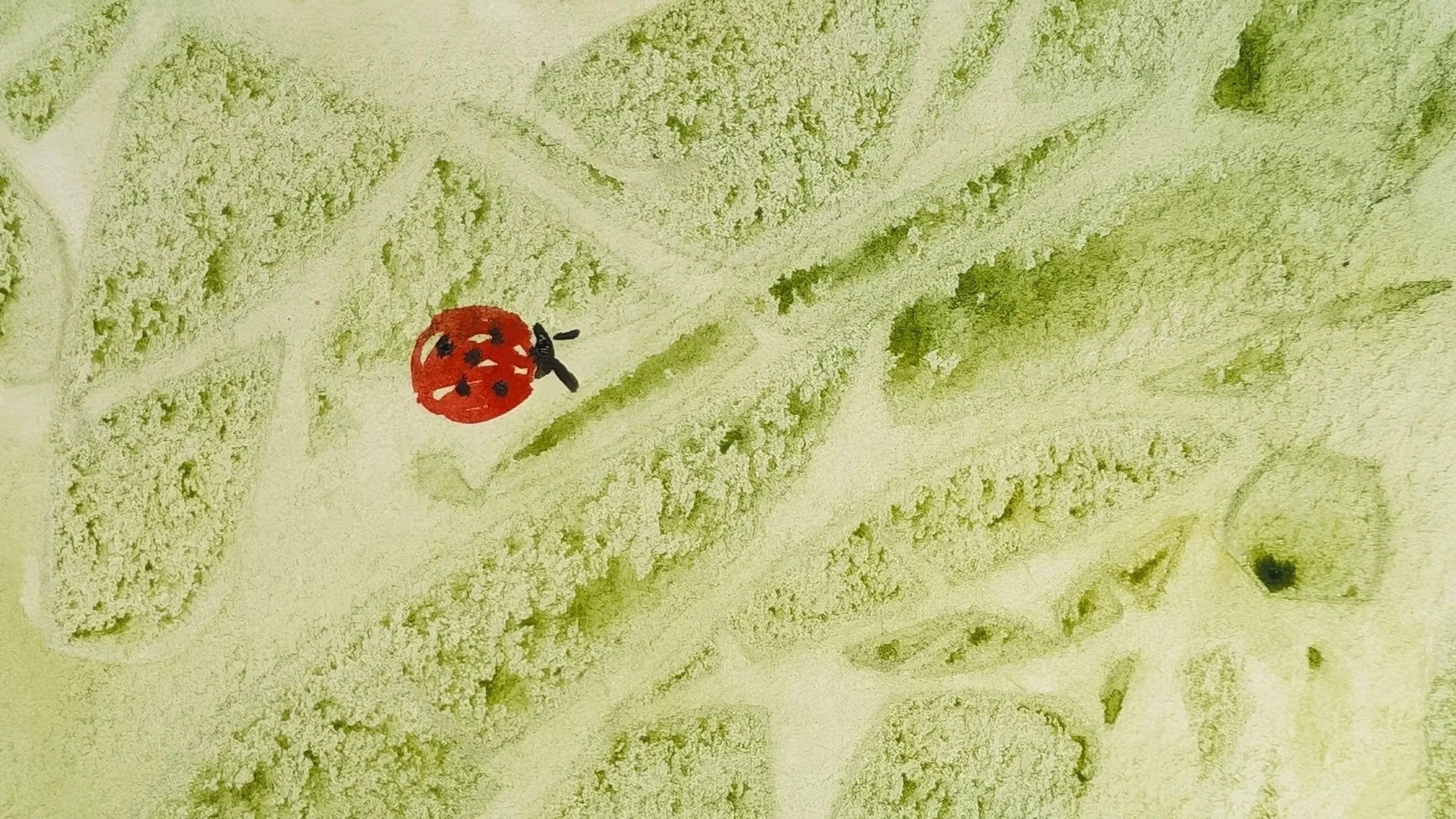 Aquarell-Katzenporträt nach Fotovorlage: graue Katze liegend, orangefarbene Augen, weicher Farbverlauf im Hintergrund.