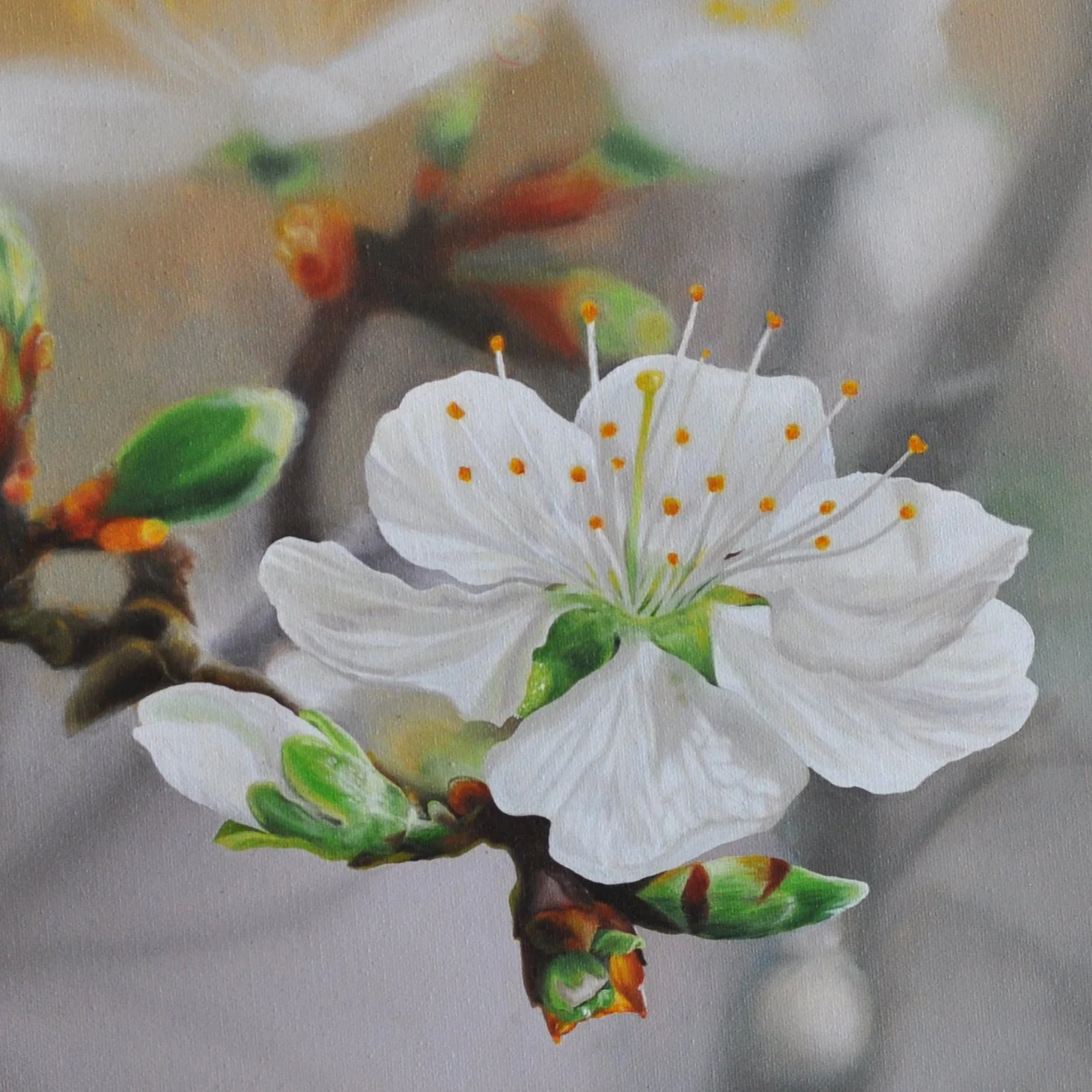 Ölgemälde „Lichtblick“ aus der Serie Hanami – runde Leinwand mit weißer Kirschblüte in Nahaufnahme, Naturkunst von Anika Reiher