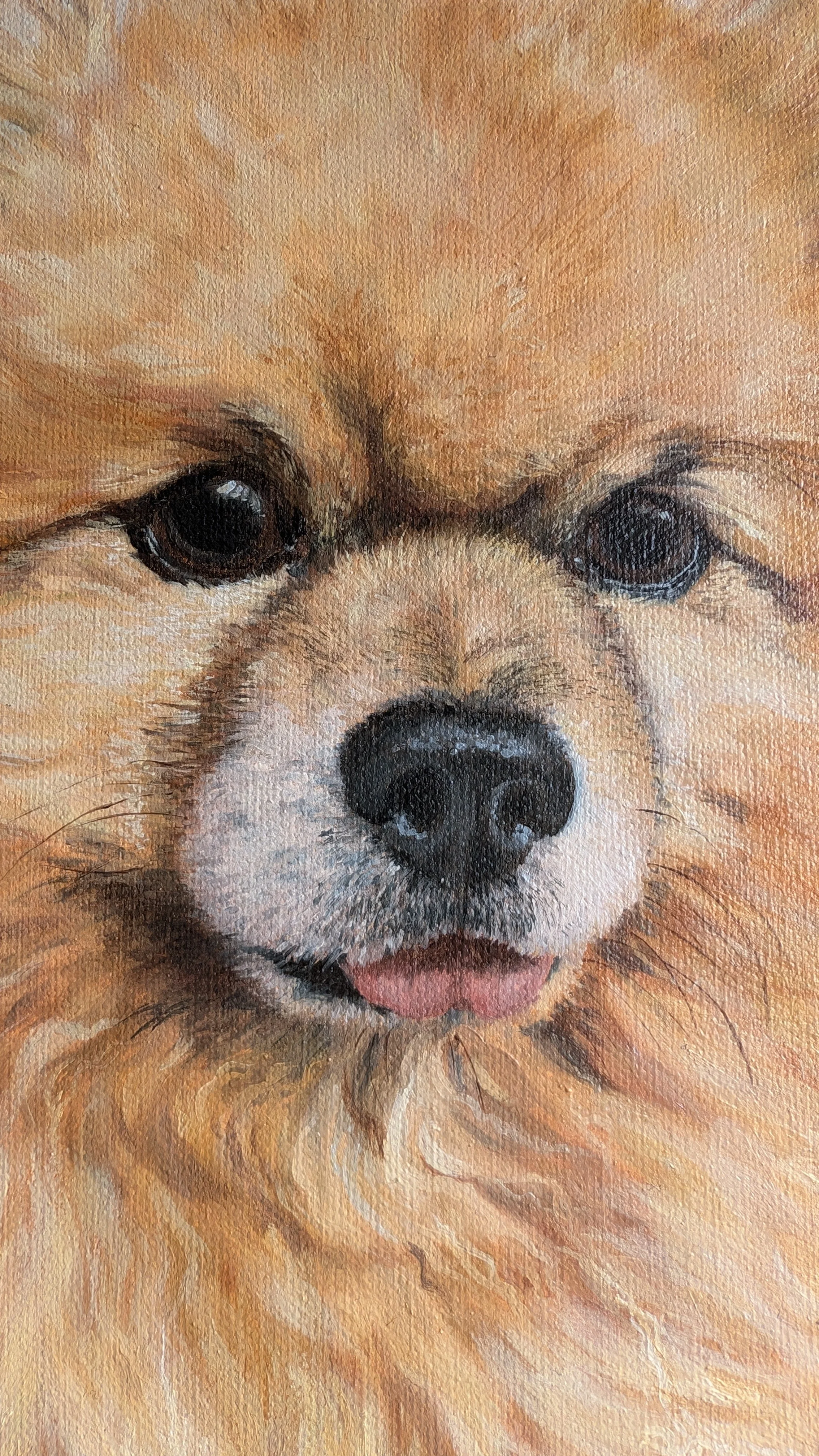 Ausschnitt eines detailreichen Haustierporträts. Das Gesicht des Hundes und die klaren Augen, sowie einzelne Haare und Fellstruktur sind gut sichtbar