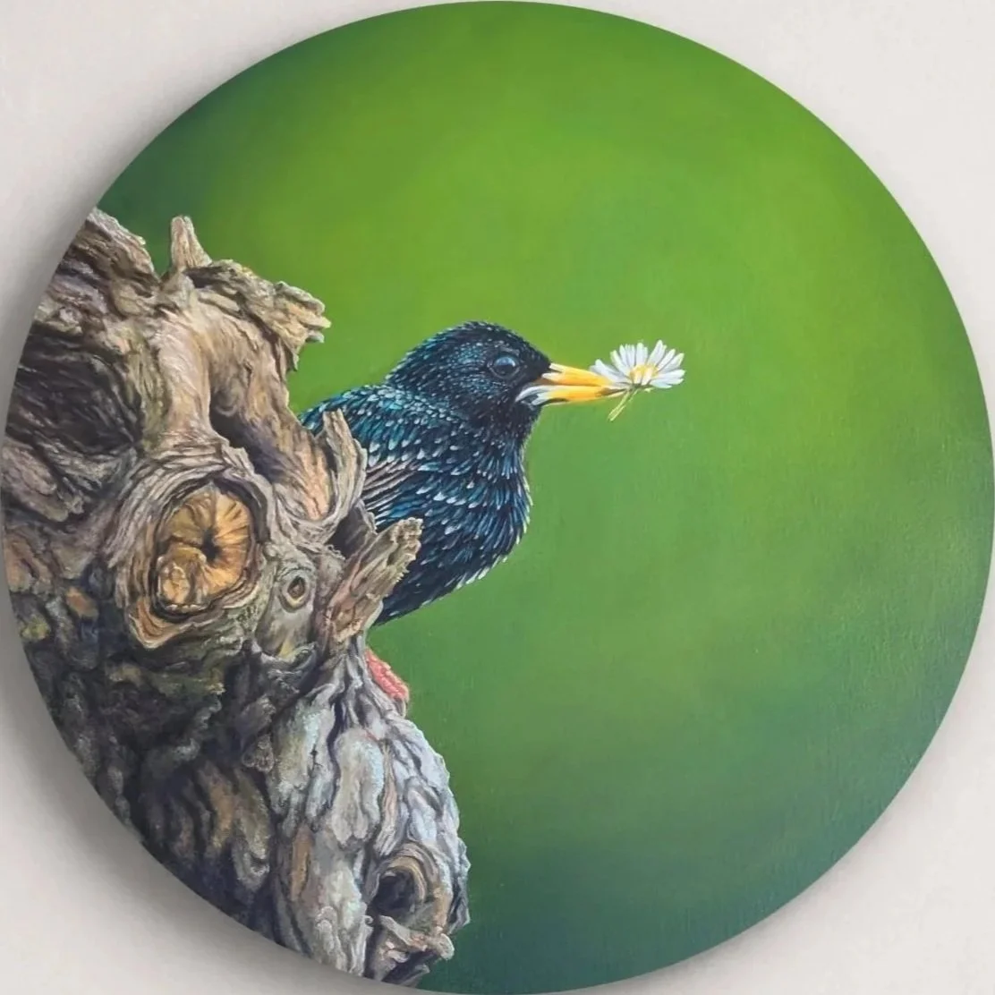 Das Ölgemälde "Gentle Resolve" zeigt einen jungen Star mit einem Gänseblümchen im Schnabel. Der Vogel sitzt auf einem alten, knorrigen Baum. Der Hintergrund ist in einem tiefen, aber sanften Grün gestaltet.