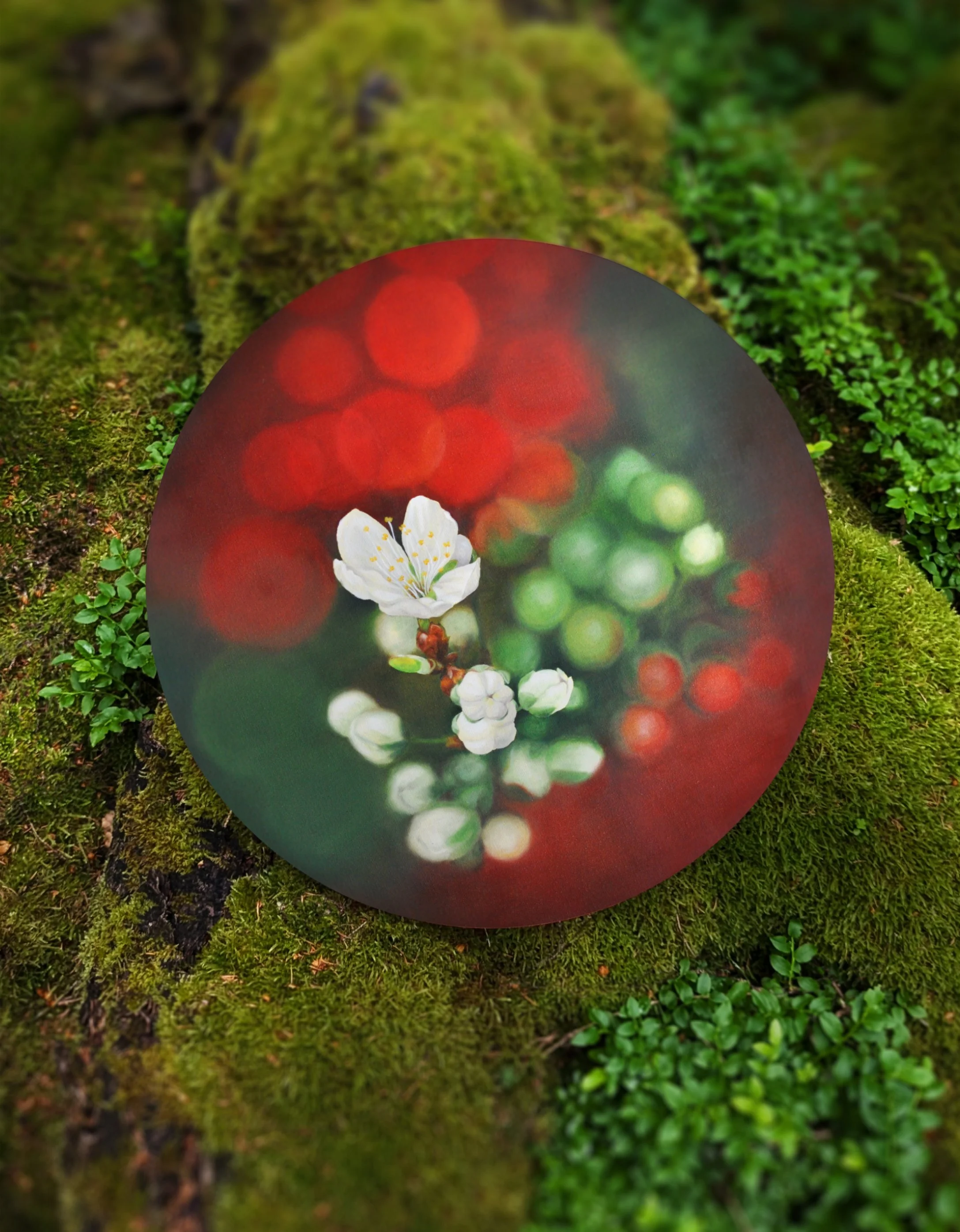 Ölgemälde „Balance“ aus der Serie Hanami 2 – Kirschblütenmotiv auf runder Leinwand, präsentiert auf grünem Moos in Naturkulisse